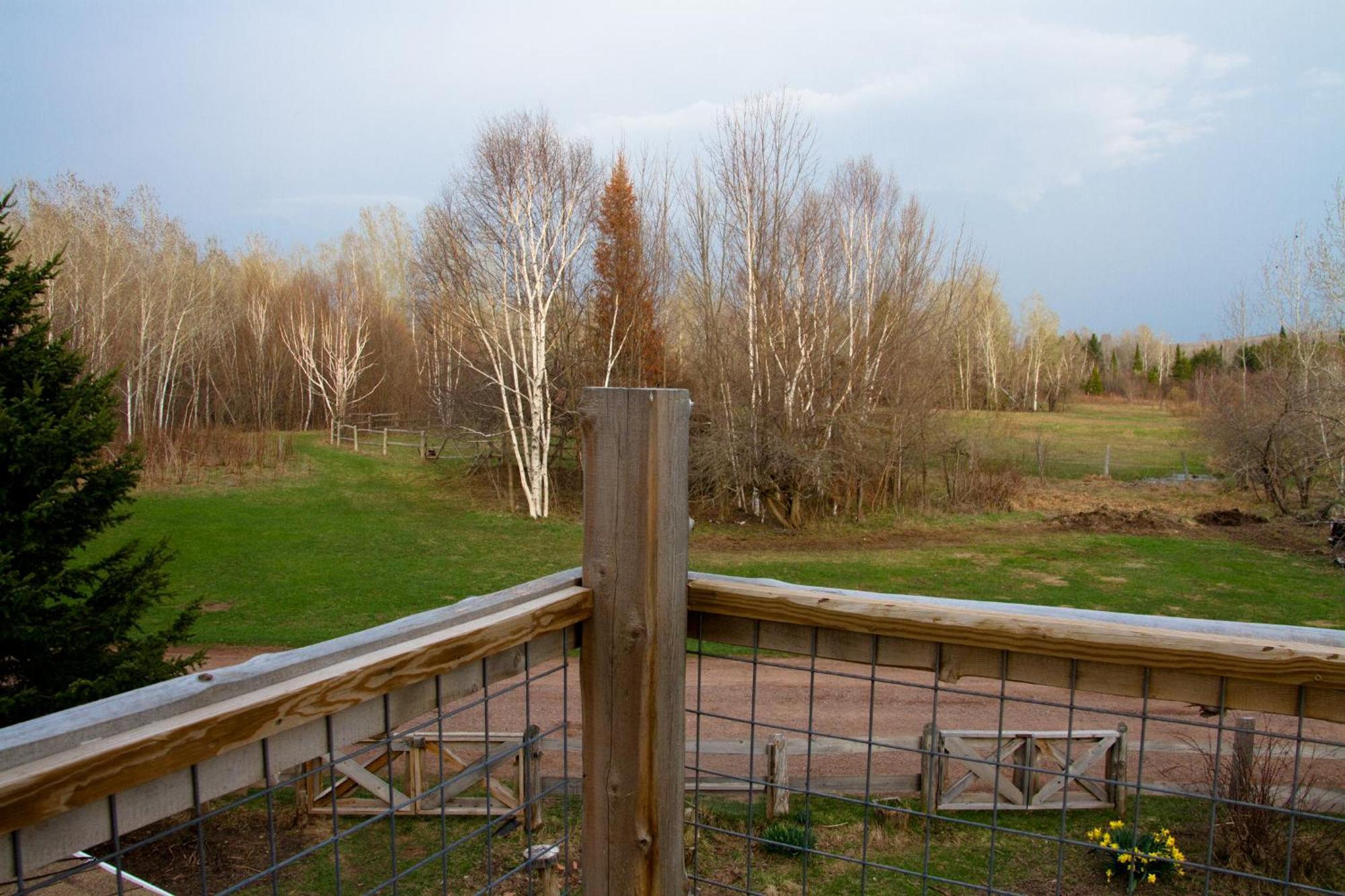 White Horse Stable Apartment Бейфийлд Екстериор снимка